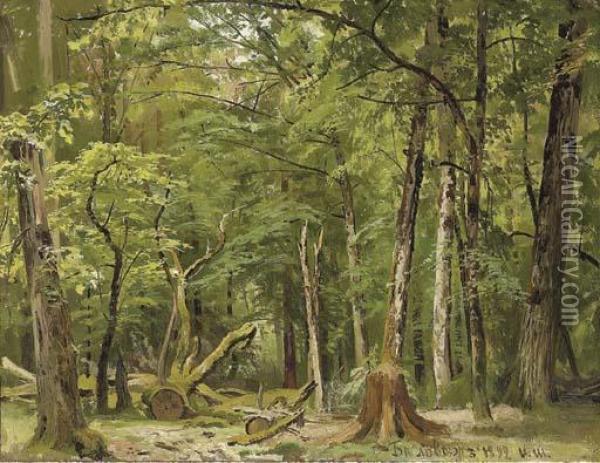 Study Of A Summer In Belovezh Forest Oil Painting - Ivan Shishkin