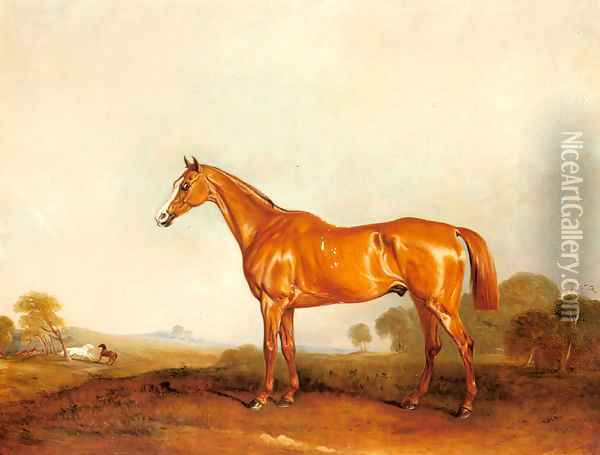 A Golden Chestnut Hunter in a Landscape Oil Painting - John Jnr. Ferneley