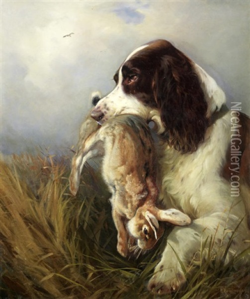 A Spaniel Retrieving A Hare Oil Painting - William Woodhouse