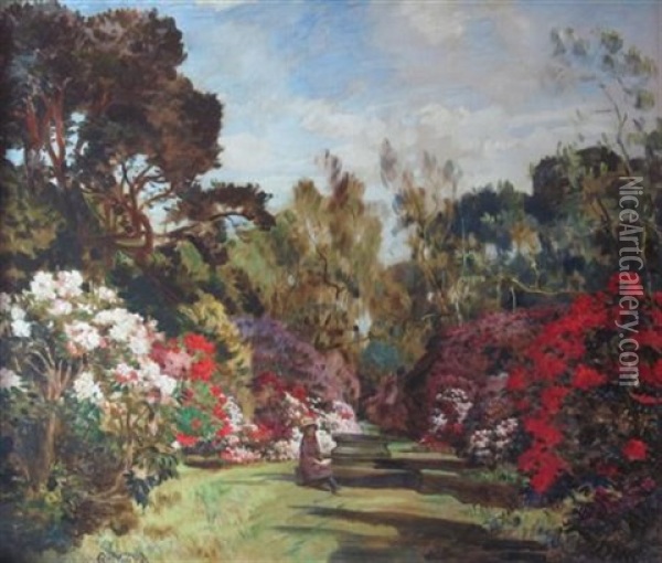 Rhododendrons Oil Painting - Robert Noble