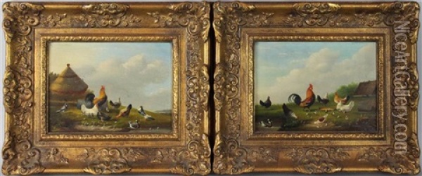 Paintings Of Hens And Rooster (2 Works) Oil Painting - Francois Vandeverdonck
