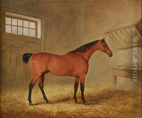 A Bay Hunter In A Stable Interior Oil Painting - James Barenger