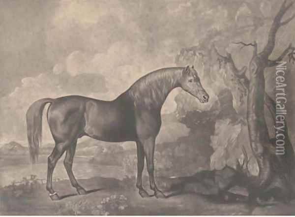 Brown horse mask, by George Townly Stubbs Oil Painting - George Stubbs