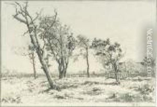 Trees In A Landscape Oil Painting - Willem de Zwart