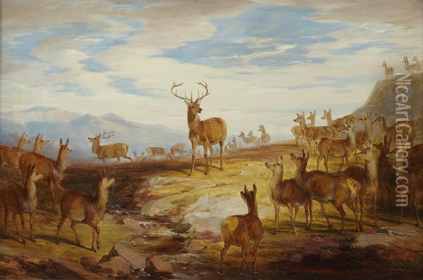 Deer On A Hillside Oil Painting - James William Giles