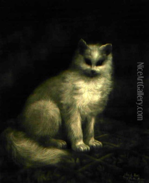 Sitzende Katze Oil Painting - Jakob Henri Fischer-Hinnen