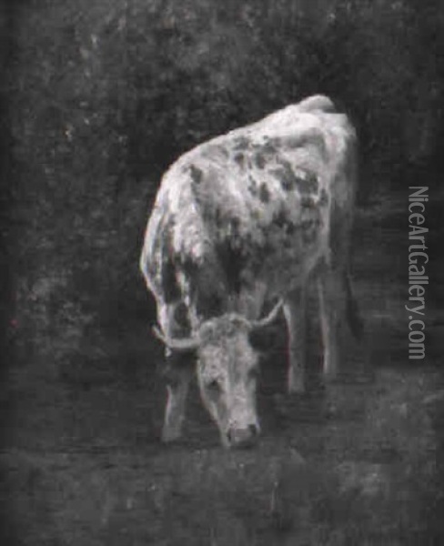 Weidende Kuh Oil Painting - Julius Kornbeck