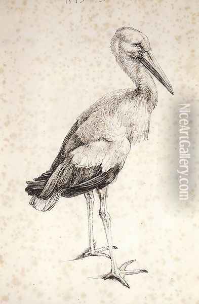 The Stork Oil Painting - Albrecht Durer
