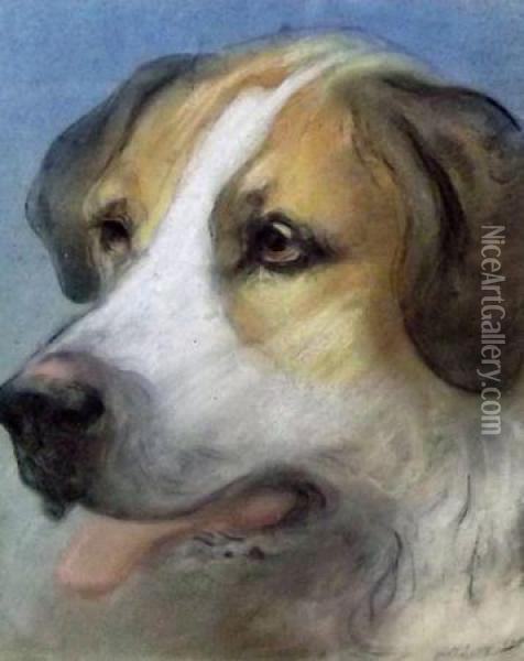 St Bernard Dog Oil Painting - Edward Robert Smythe