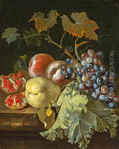 Stillleben Mit Trauben Und Granatapfel Oil Painting - Jan Van Huysum