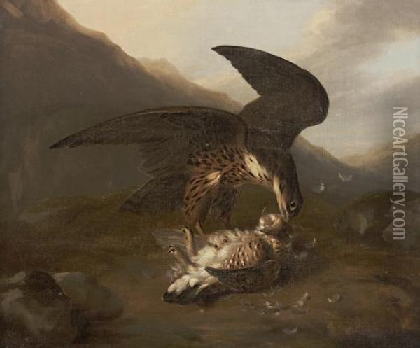 Bird Of Prey Oil Painting - Stephen Elmer