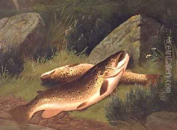 Brown Trout Oil Painting - A. Roland Knight