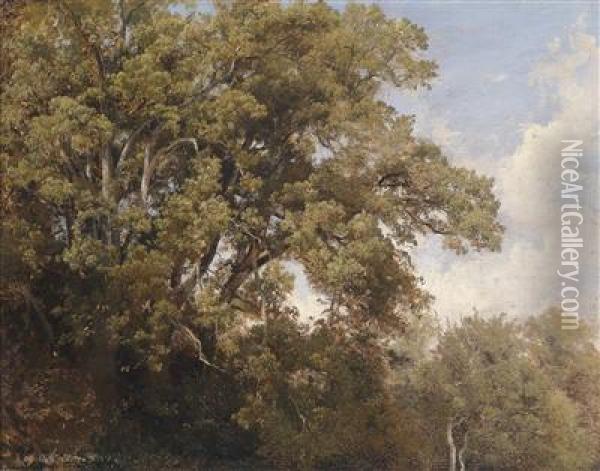 Tree Tops Oil Painting - Julius Lange