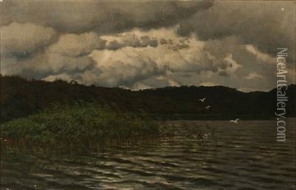 View From Skarrit Lake, Denmark Oil Painting - Carl Milton Jensen