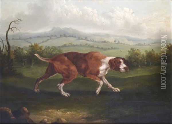 The Spanish Pointer Oil Painting - Abraham Cooper