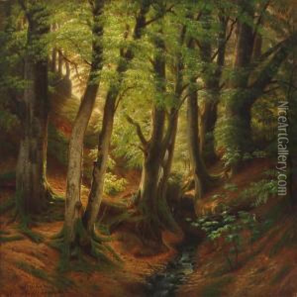 Spring Forest With A Minor Stream Oil Painting - Eiler Rasmussen-Eilersen