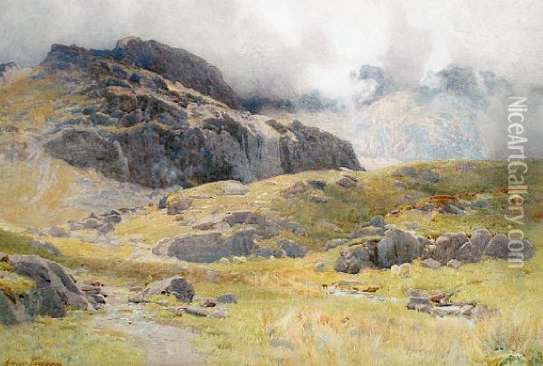 Sheep On A Misty Hillside Oil Painting - George Cockram