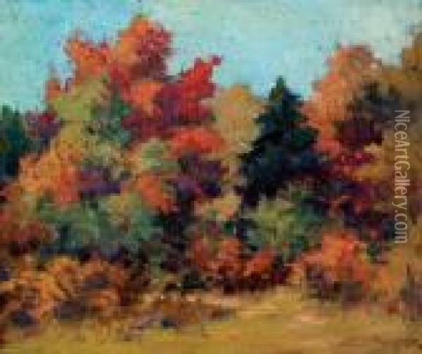 Autumn Palette, Kearney, Ont. Oil Painting - Franz Hans Johnston