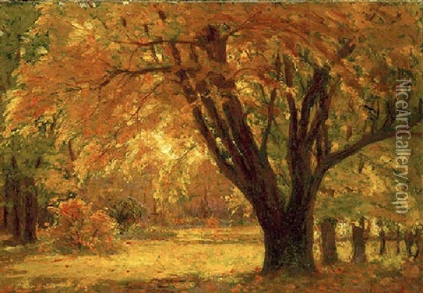 Autumn Sunlight Oil Painting - John Fabian Carlson