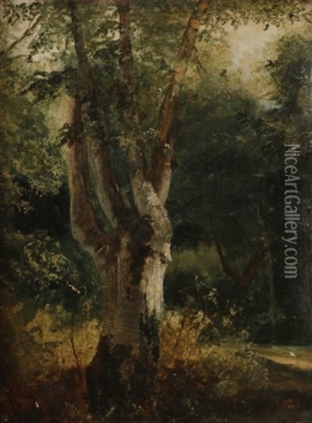 Arbre Oil Painting - Andre Giroux