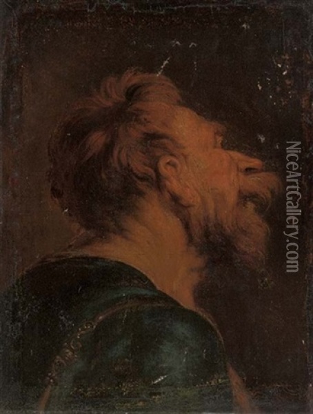 The Head Of A Bearded Man: A Study Oil Painting - Jacob Joardens
