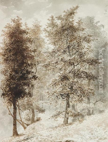 11 Waldbaume Oil Painting - Albert Berg