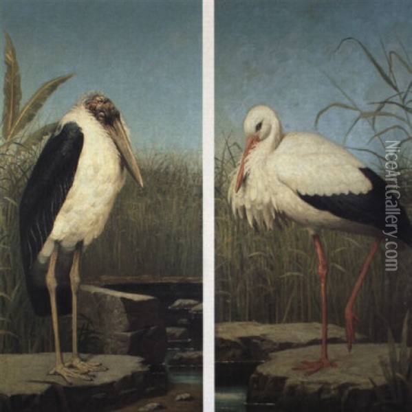 Studies Of Birds Oil Painting - Henry Stacy Marks