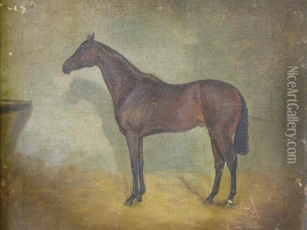 Study Of A Horse Oil Painting - George Paice