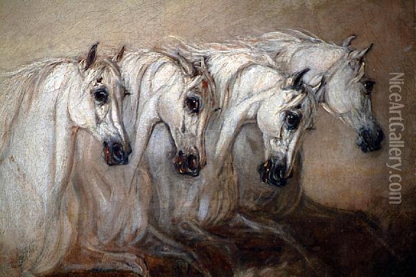 Four Grey Horses, A Study Oil Painting - James Ward
