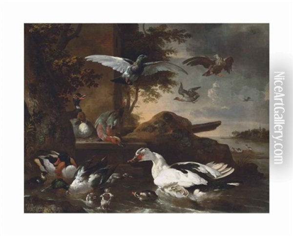 A Shoveler, A Muscovy Duck And Other Birds By A River Oil Painting - Melchior de Hondecoeter