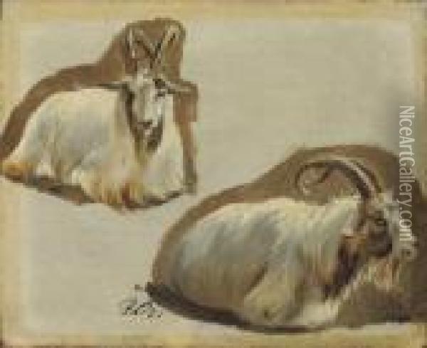 Studies Of Ibex Oil Painting - Landseer, Sir Edwin