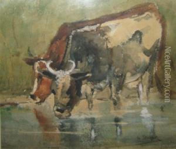 Drinkende Koeien. Oil Painting - Henri Stacquet
