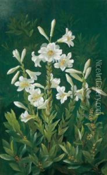 Lilien Oil Painting - Anthonie, Anthonore Christensen