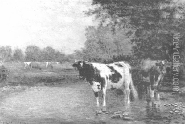 Cows Wading And Watering In A Stream Oil Painting - Clinton Loveridge