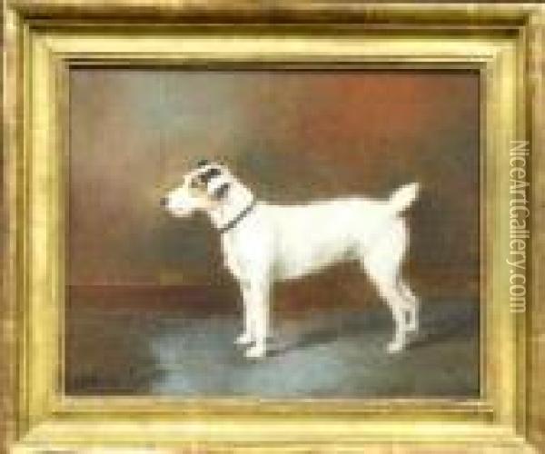 A Jack Russell Terrier Oil Painting - Of John Alfred Wheeler