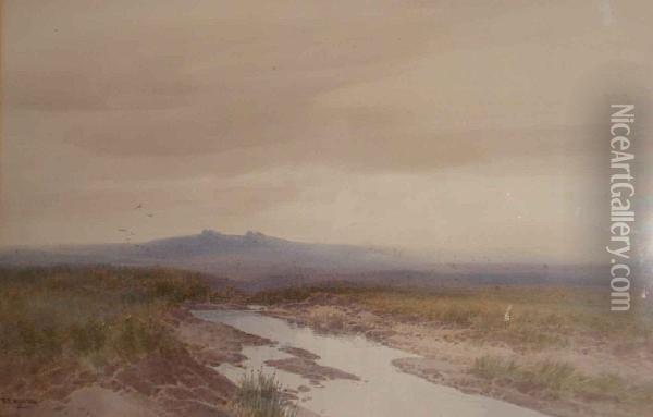 Dartmoor View Oil Painting - Frederick John Widgery
