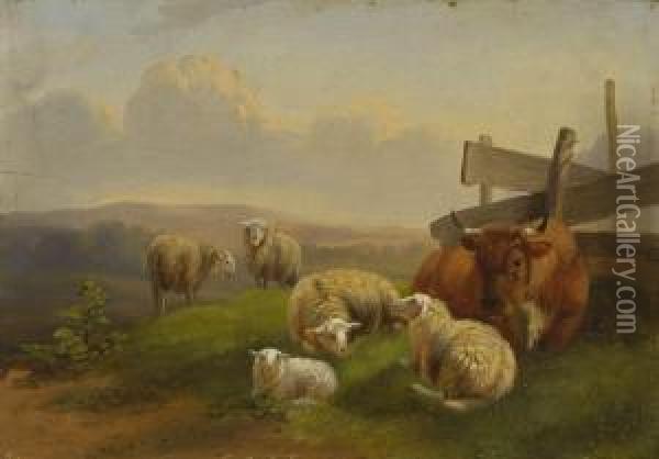 Schafe Und Kuh Auf Der Weide Oil Painting - Dirk Van Lokhorst