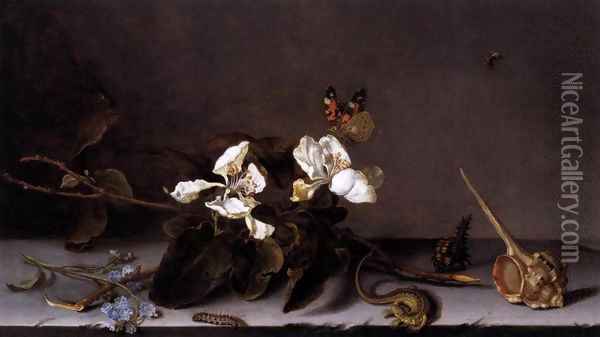Still-Life with Apple Blossoms 2 Oil Painting - Balthasar Van Der Ast