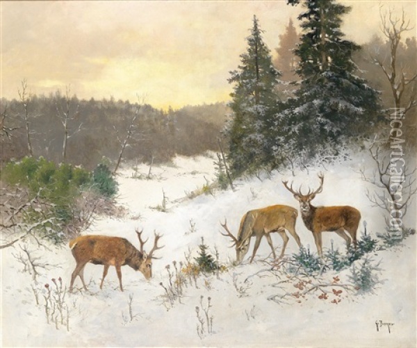 Hirsche Im Winterwald Oil Painting - Georg Berger