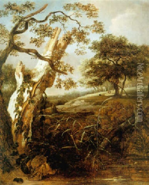 A Beech Stump In A Hilly Wooded Landscape Oil Painting - Jan van Kessel