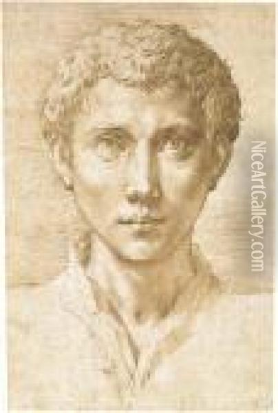 Head Of A Young Man Looking Up Oil Painting - Girolamo Francesco Maria Mazzola (Parmigianino)