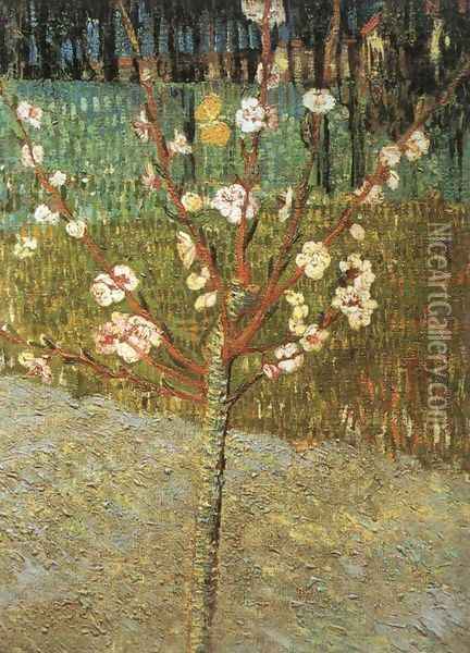 Flowering Almond Tree Oil Painting - Vincent Van Gogh