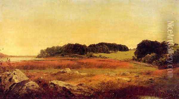 Lily Pond, Newport, Rhode Island Oil Painting - John Frederick Kensett