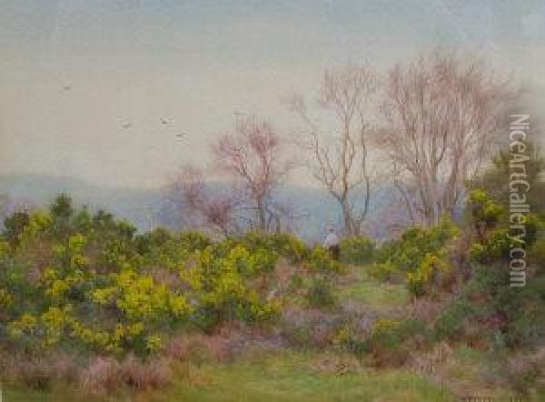 Spring On The Heath, Near Reigate Oil Painting - George Marks
