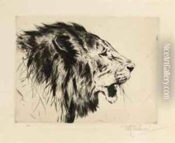 A Lion's Head Oil Painting - Wilhelm Kuhnert