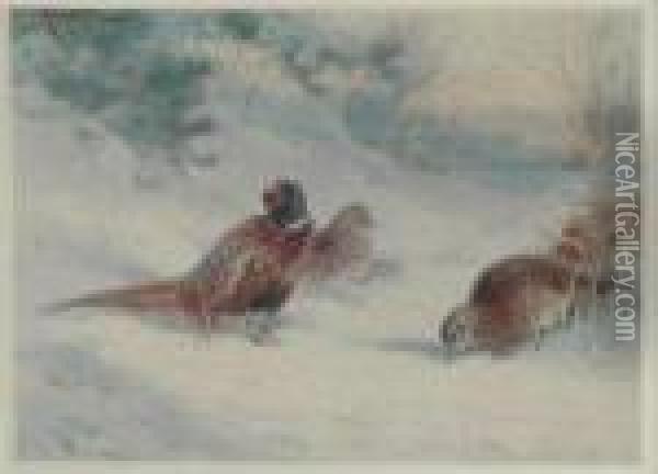 Pheasant And Hens Oil Painting - Archibald Thorburn