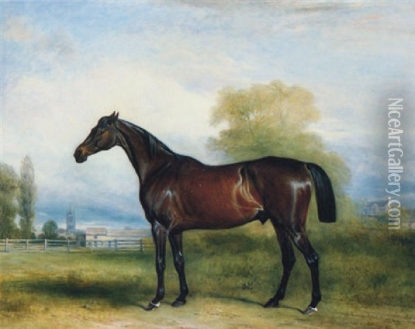 A Dark Brown Stallion In A Paddock, A Village In The Distance Oil Painting - John E. Ferneley