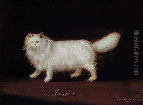 Psyche, the Persian Cat, 1787 Oil Painting - Francis Sartorius