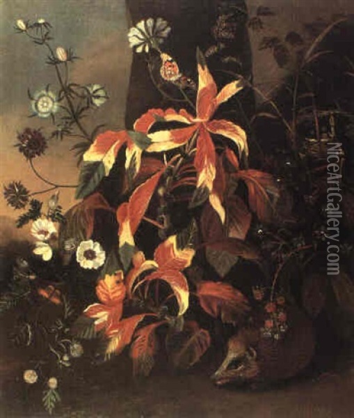 Blumen Am Waldrand Mit Einem Igel, Einer Eidechse Und       Schmetterlingen Oil Painting - Frans Withoos