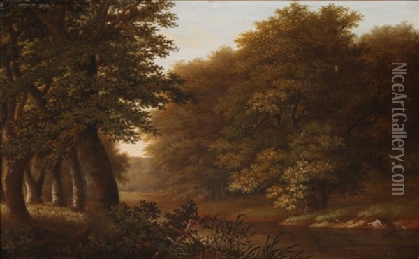 Forest Scene Oil Painting - Friedrich Elias Meyer
